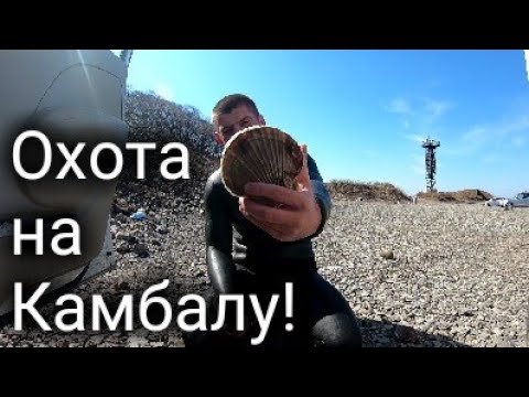 Видео: Охота на Камбалу! остров Русский.