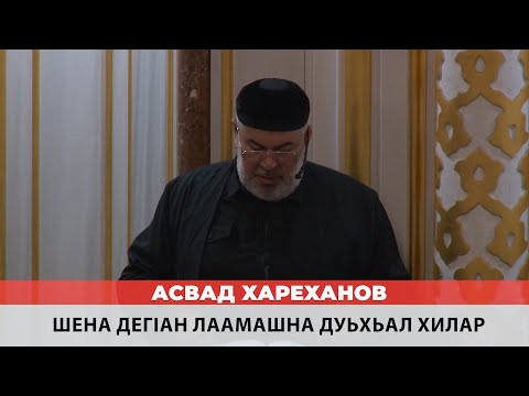 Видео: Асвад - Шена дегlан лаамашна дуьхьал хилар