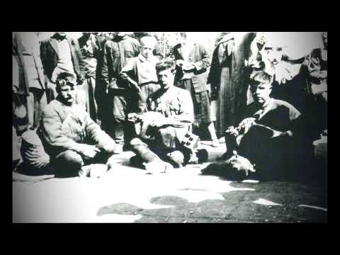 Видео: Вилєтєла душа з тєла. Лірник Ляшук Андрій.