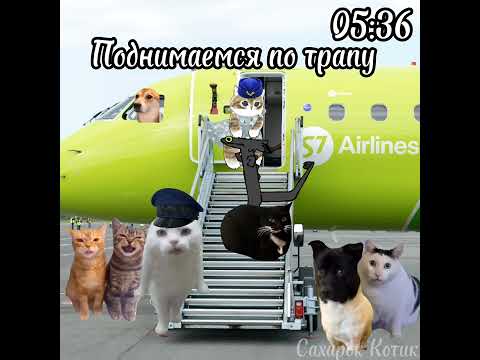 Видео: Рил: Мой полет на самолёте ✈️