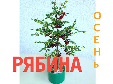 Видео: ОСЕННЯЯ РЯБИНА из БИСЕРА. Часть 1/2. Autumn tree out of beads. БИСЕРОПЛЕТЕНИЕ для НАЧИНАЮЩИХ