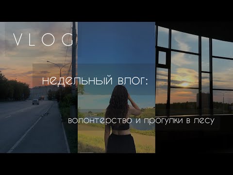 Видео: vlog 4. недельный влог: волонтерство и прогулки в лесу