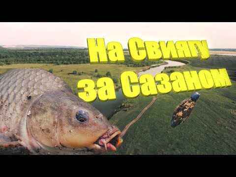 Видео: Рыбалка с ночевкой на берегу реки Свияга. Электрическая ловушка для насекомых