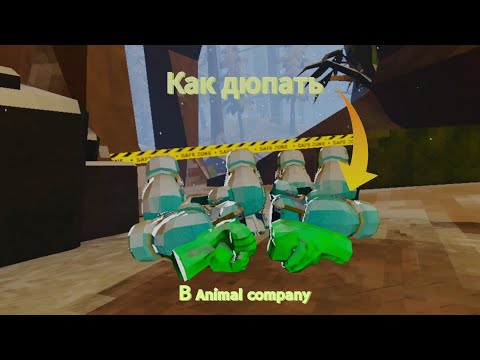 Видео: Как. дюпать портфели и вещи в Animal company