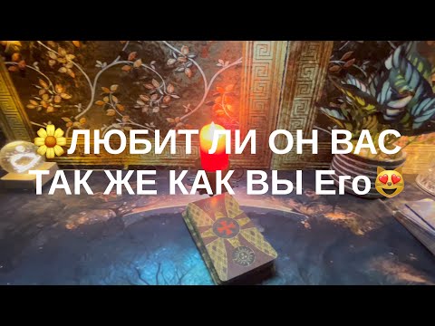 Видео: 8 ноября 2025 г.