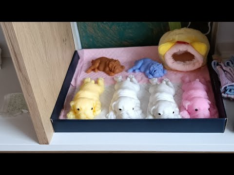 Видео: Сквиш собачки