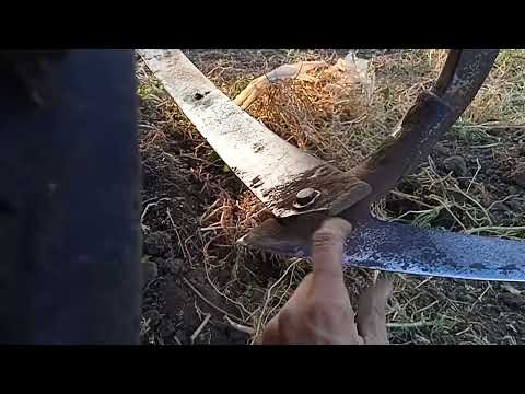 Видео: Скоба из рессоры против корней кавуна