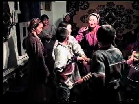 Видео: Каратас оттары. Акмарал