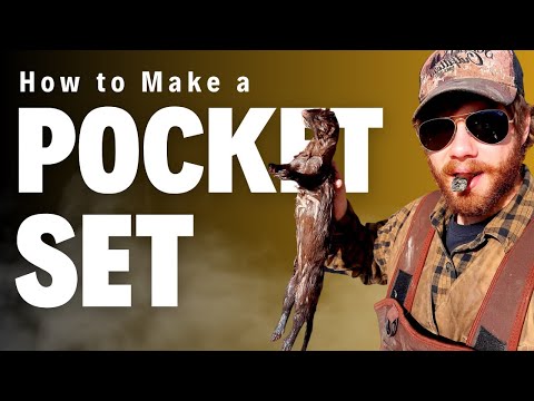 Видео: Как сделать карманный набор — простой и эффективный набор ловушек для енота и норки