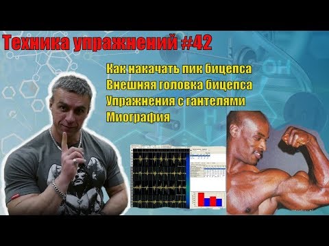 Видео: Как накачать пик бицепса. Внешняя головка бицепса. Упражнения с гантелями. Миография. Техника 42
