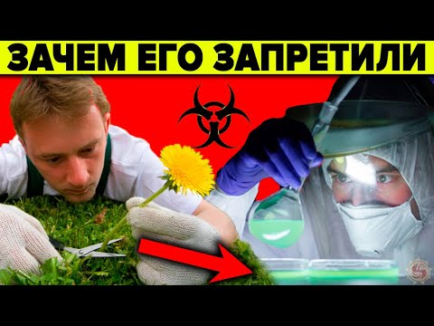 Видео: Зачем запретили одуванчик? 8 фактов о которых не знают врачи