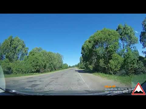 Видео: ПИТЕЛИНО - КАСИМОВ (Рязанская обл)  дорога