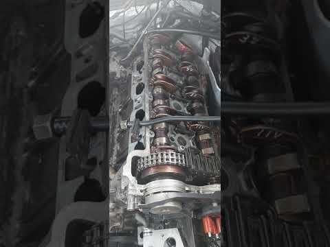 Видео: 6 ноября 2025 г.