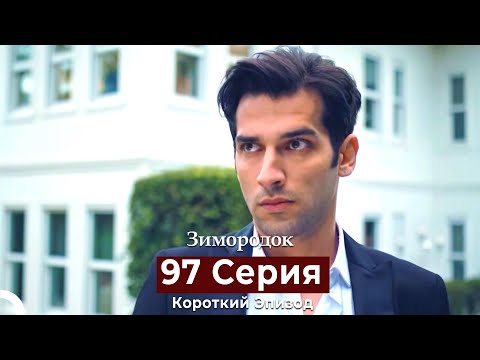 Видео: Зимородок 97 Cерия (Короткий Эпизод) (Русский дубляж)