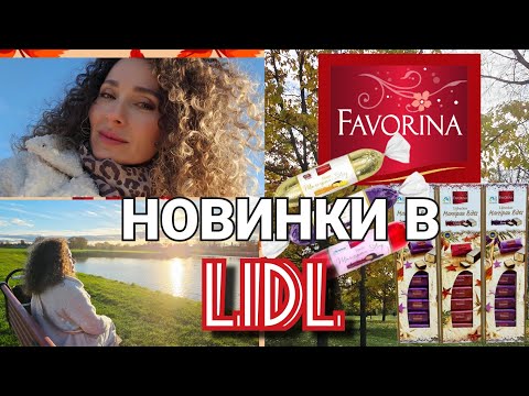 Видео: 31-1 ноября 2025 г.🎄Новинки в LIDL/🛒Распаковка покупок/🌞Релакс🍂 для тела и души #латвия #lidl #осень