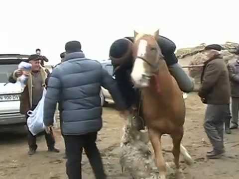 Видео: Кокпар озгент самат Жанакорган Кызылорда