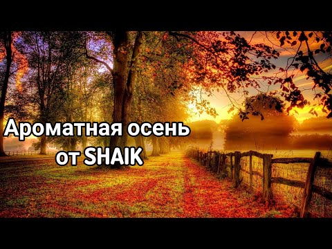 Видео: Новые ароматы от Shaik в моей коллекции