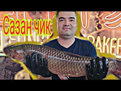 Видео: САЗАН... Baliq qovurishning 3 xil usuli...