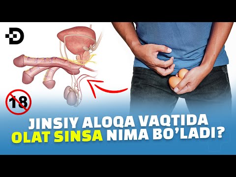 Видео: ЖИНСИЙ АЛОҚА ВАҚТИДА ЖИНСИЙ ОЛАТ СИНИШИ МУМКИНМИ?
