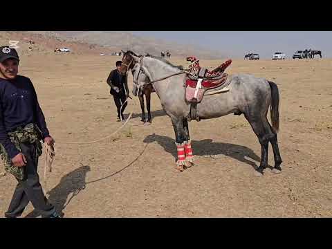 Видео: 19 октября 2025 г.