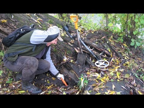 Видео: КЛЕНОВАЯ РОЩА! КУЧА СЕРЕБРА! ВСЁ НАШЁЛ под ЧЕРМЕТОМ! ВЫДОЛБИЛ из КОРНЕЙ!