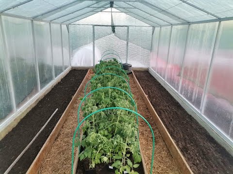 Видео: Готовность номер один. Марафон высадки рассады. 4 - ая теплица во всеоружии. Контейнерные посадки