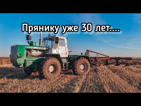 Видео: ПРЯНИКУ 30 ЛЕТ.... ЗАВОДИМ НАШЕГО СТАРОГО ПЕРДУНА