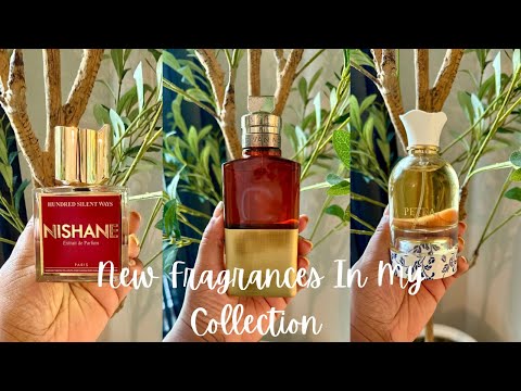 Видео: НОВЫЕ АРОМАТЫ В МОЕЙ КОЛЛЕКЦИИ | Havana Gold, Hundreds Silent Ways, Angel Share On The Rocks 1 но...