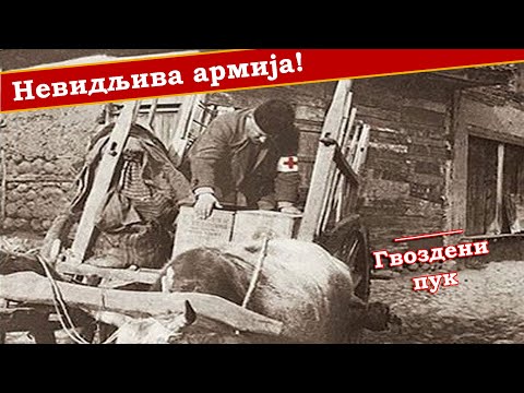 Видео: Једина српска армија о којој се не учи у школама