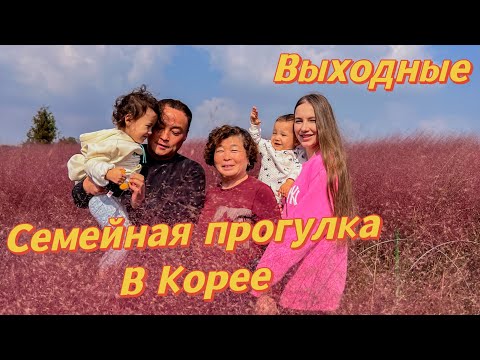 Видео: Розовая осень в Корее/семейная прогулка/наши выходные со свекровью ❤️/Южная Корея Влог