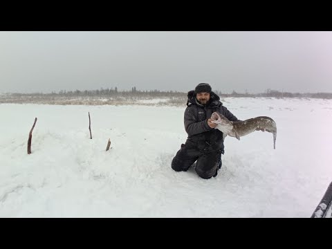 Видео: Рыбалка. Чёрная дыра √10