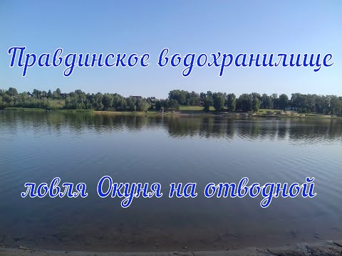 Видео: Правдинское водохранилище ( ловля окуня на отводной )