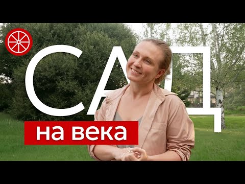 Видео: Как создать сад на века? Секреты устойчивых садов #озеленение