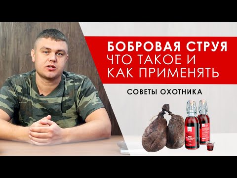 Видео: Бобровая струя что такое? От каких болезней, что лечит, применение. Курс для мужчин, советы охотника