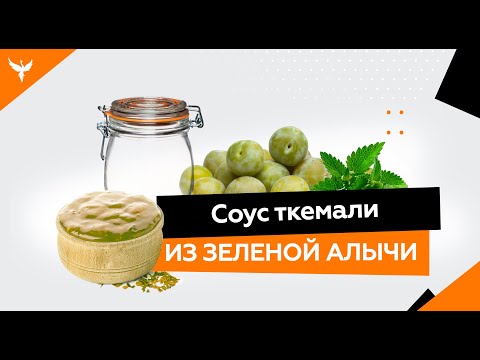 Видео: рДЖ 5: Ткемали из зеленой алычи. Вкусный рецепт на зиму