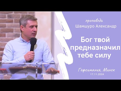Видео: Шамшуро Александр | Бог твой предназначил тебе силу | 17.11.2024