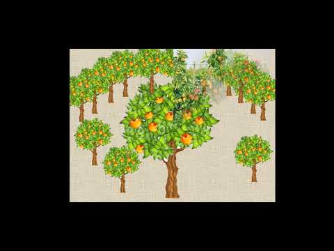 Видео: Розвиток мовлення "У саду" 1 частина