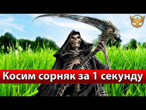Видео: Black Desert – Лучший спот для сбора | Гайды Black Desert