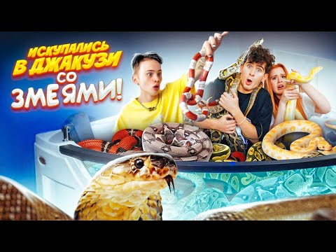 Видео: КТО ДОЛЬШЕ ПРОСИДИТ в ВАННОЙ СО ЗМЕЯМИ?! 🐍