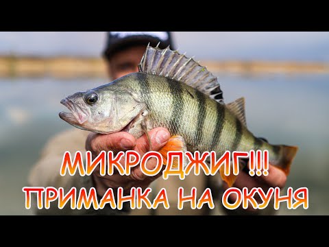 Видео: МИКРОДЖИГ! ЛУЧШАЯ пассивная ПРИМАНКА на окуня 👍 ЛОВИТ всегда 💪💪💪