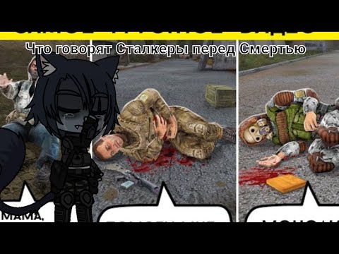 Видео: Реакция на Что говорят Сталкеры перед Смертью