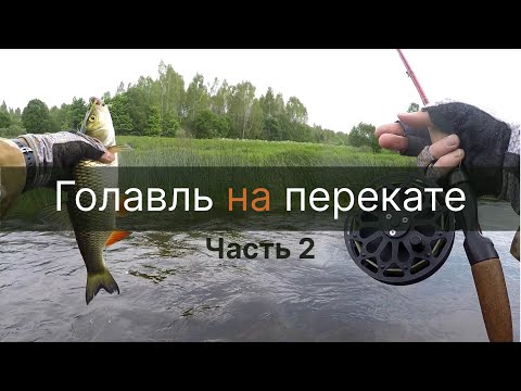 Видео: Голавль на перекате. Часть 2