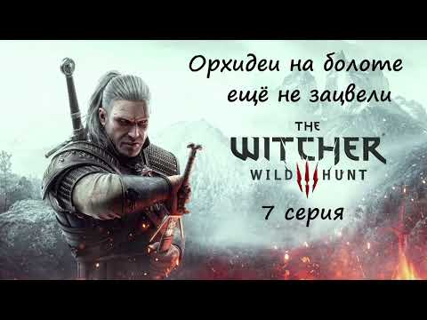 Видео: [Ведьмак 3: Дикая Охота] 7 серия. Орхидеи на болоте ещё не зацвели.