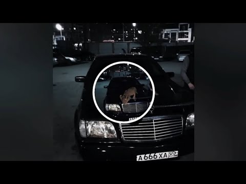 Видео: Criminal Russia (feat. DJ ПЛАЩ) slowed and reverb