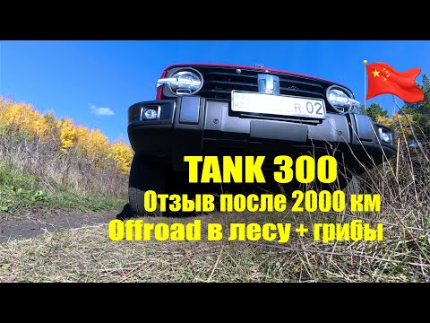 Видео: TANK 300: 2000 км спустя | Отзыв + грибы и оффроуд в лесу