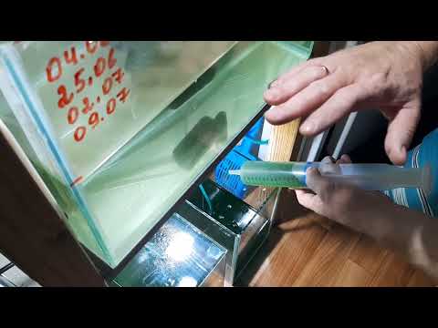 Видео: Прошло 3 недели, засол от 04.06.2025г.