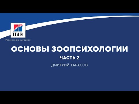 Видео: Вебинар на тему: "Основы зоопсихологии. Часть 2". Лектор - Дмитрий Тарасов