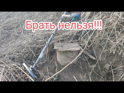 Видео: Мы всем советуем такие находки не брать!!!