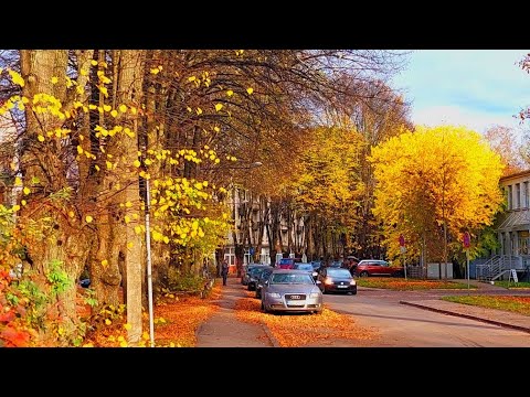 Видео: влог - обычный день с перерывами на красивое
