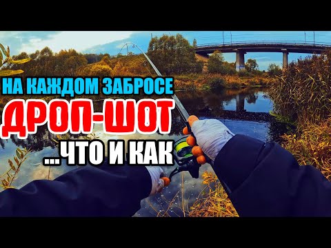 Видео: ДРОП - ШОТ. Как Ловить МНОГО? Делюсь ОПЫТОМ. #дропшот #рыбалка #fishing #окунь #спиннинг